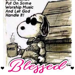 Meet your Posher, Freddie